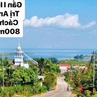 Bán Vườn Sầu Riêng Đang Thu Hoạch, Diện Tích 220M2, Thổ Cư. Giá Chỉ 580 Triệu/Vườn