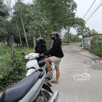 Bán Đất Hòa Phước, Đà Nẵng Ngang 10M. Đường 5M Ôtô