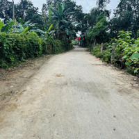 Bán Đất Hoà Sơn, Đà Nẵng Gần Trường Tiểu Học Số 1 Hoà Sơn Đường Thông Cho Vợ Chồng Trẻ Định Cư