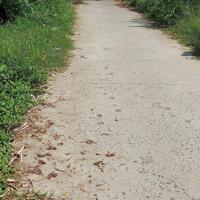 Đất nền xã Phong Mỹ huyện Cao Lãnh, cách cầu Cả Dứa 1,2km