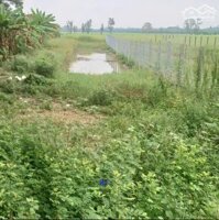 Đất nền xã Phong Mỹ huyện Cao Lãnh, cách cầu Cả Dứa 1,2km