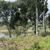 1,1Ha Mặt Hồ Sông Ray, Có Thổ Cư, Vị Trí Đẹp, Sổ Hồng, 0901998862