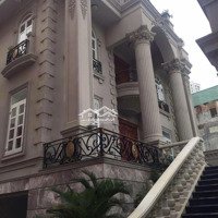 Cho Thuê Biệt Thự 566,6M2, 300 Triệu Tại Trần Xuân Soạn, Tân Hưng, Q7, Hcm Chỉ Với 300 Triệu