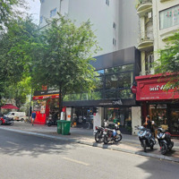 Gấp! Siêu Vị Trí Đẹp Mặt Tiền 114 116 Lý Tự Trọng Phường Bến Nghé Quận 1