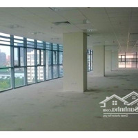 Cho Thuê Văn Phòng, Showroom Tầng 1+2 Tại Hoàng Cầu, Diện Tích Từ 640 M2 - 1320 M2, Giá Ưu Đãi