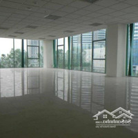 Cho Thuê Văn Phòng, Showroom Tầng 1+2 Tại Hoàng Cầu, Diện Tích Từ 640 M2 - 1320 M2, Giá Ưu Đãi