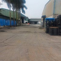 Bán Nhà Xưởng 5Ha Tại Xã Thanh Hà, Huyện Thanh Ba, Phú Thọ