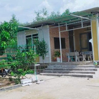Nhà Vườn Biệt Thự Kinh Tế 1000M2, Giá Bán 3Tỷ2
