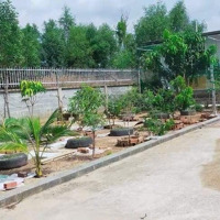Nhà Vườn Biệt Thự Kinh Tế 1000M2, Giá Bán 3Tỷ2