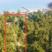 Bán Đất 14.000M2 Tại Đường 47, Xã Lại Sơn, Kiên Hải, Kiên Giang, 2,7 Triệu Vnd