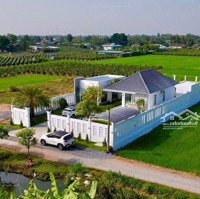 Bán Nhà Vườn Gò Công 3 Phòng Ngủ 3 Vệ Sinh 785M2 Tại Dh14, Bình Phú, Gò Công Tây, Tiền Giang, 3,5 Tỷ