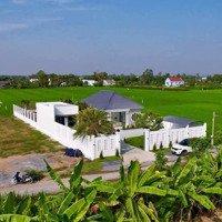 Bán Nhà Vườn Gò Công 3 Phòng Ngủ 3 Vệ Sinh 785M2 Tại Dh14, Bình Phú, Gò Công Tây, Tiền Giang, 3,5 Tỷ