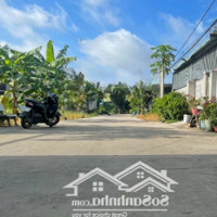 Lô Đất Đẹp Để An Cư Lập Nghiệp Tọa Lạc Phường Mỹ Xuân, Thị Xã Phú Mỹ