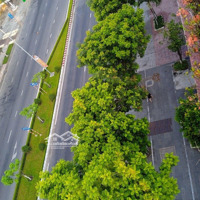 Bán Đất Tại Nguyễn Tất Thành, 10,5 Tỷ, 101,5 M2, Giá Ưu Đãi