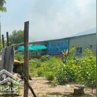 Cần Tiền Bán Nhanh Đất Mỹ Xuân - Phú Mỹ Giá Hợp Lí Có Thể Thương Lượng