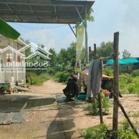 Cần Tiền Bán Nhanh Đất Mỹ Xuân - Phú Mỹ Giá Hợp Lí Có Thể Thương Lượng
