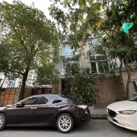 Cho Thuê Biệt Thự Phố Dịch Vọng Hậu,Diện Tích150M2,Mặt Tiền12M Làm Vp, Spa, Nhà Hàng