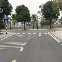 Bán Biệt Thự Đường Ngọc Trai 12 Vinhome Ocean Park 1, Gia Lâm, Hà Nội: +Diện Tíchđất 288M2,Mặt Tiền15M.