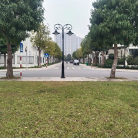 Bán Bt Ngọc Trai Vinhomes Ocean Gia Lâm - Hà Nội 288M2Mặt Tiền15M Xây Thô 3,5 Tầng