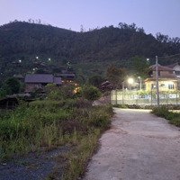 Quần Thể Nghỉ Dưỡng Thung Lũng Ngọc Linh Tiến Xuân Thạch Thấtdiện Tích2029M2 Có 2 Mặt Tiền Sổ Độc Lập