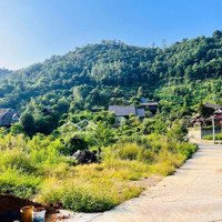 Quần Thể Nghỉ Dưỡng Thung Lũng Ngọc Linh Tiến Xuân Thạch Thấtdiện Tích2029M2 Có 2 Mặt Tiền Sổ Độc Lập