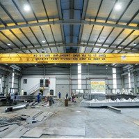 Cho Thuê 1300M2 Mặt Tiền Đường Trường Trinh, Thanh Khê Đà Nẵng.
