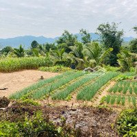 Đất Thổ Cư Chính Chủ 1.460M2 (300) Ont Tựa Sơn Hướng Thuỷ Làm Ngôi Nhà Thứ 2 Hoặc Mua Đầu Tư
