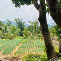 Đất Thổ Cư Chính Chủ 1.460M2 (300) Ont Tựa Sơn Hướng Thuỷ Làm Ngôi Nhà Thứ 2 Hoặc Mua Đầu Tư