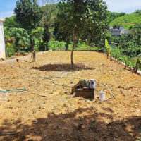 Cần Bán Gấp Lô Đất 315M Mặt Đường Gần Kcn Thanh Sơn Giá Đầu Tư