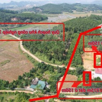Cần Bán Gấp Lô Đất 315M Mặt Đường Gần Kcn Thanh Sơn Giá Đầu Tư