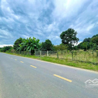 Bán Lô Đất Mặt Tiền Tỉnh Lộ 2 - Diên Thọ - Diên Khánh - Khánh Hoà