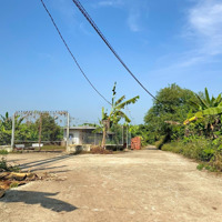 Kẹt Tiền Bán Gấp Vườn Cây Ăn Trái 1000M2 Cách Long Khánh Chỉ 500M - Gần Tphcm Chỉ 50P Di Chuyển