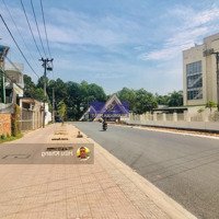 Mặt Tiền Võ Thị Sáu- Kế Bvdk Huyện Long Thành Ngang 10M X 53M Tc 300M2 Giá Ngộp 17Ty Thương Lượng