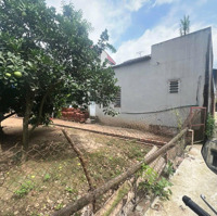 Cơ Hội Đầu Tư Hot Tại Đan Kim Liên Nghĩa Trụ, Văn Giang Lô Đất 135M Giá Tốt!