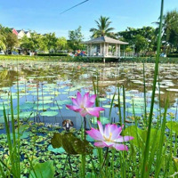 Park Riverside View Sông Căn Hiếm Rẻ Nhất 13.X Tỷ Tl