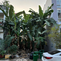 Chính Chủ Bán Đất Tại Đường 34, An Phú, Quận 2,Diện Tích160M2, Pháp Lý Đầy Đủ, Liên Hệ: 0909952877