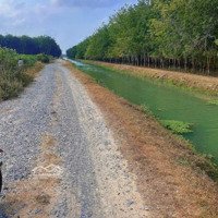 Ngộp Bán Gấp 1878M2 Đẩt View Kênh Tây Sẵn 400M2 Thổ Cư 2 Mặt Tiền Otô Thoải Mái, Sổ Sẵn Cc Ngay