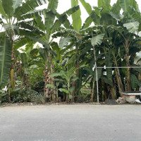 Qui Đức Bình Chánhmặt Tiềnbùi Văn Sự Bán Lô Đất Thổ Cư 511M2 9X55 187M2 Ont Giá Bán 6Tỷ Thương Lượng