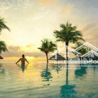 Chính Chủ Bán Gấp Căn Hộ Fusion Suites Đà Nẵng 2 Phòng Ngủ Diện Tích 65M, Giá Chỉ 4 Tỷ 6