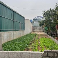 Cần Bán 144,7M2 Thắng Lợi - Văn Giang Đường Ô Tô Thông Thoáng Giá Chỉ 26,5 Triệu/M2, Đất Ở 100%