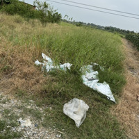 239 Triệu Đã Có Được 1 Công Đất Quá Rẻ, Sổ Sẵn, Cách Oto Tầm 200M