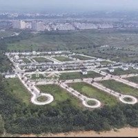 Giỏ Sp Đất Bt Dic-Swanbay Đảo Đại Phước Sổ Cá Nhân, Không Thời Gian Xd (Lh Sàn Gd Dic 0937 751 990)