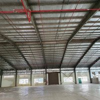 Cho Thuê 7000M2 Kho Xưởng Thành Phố Bến Tre
