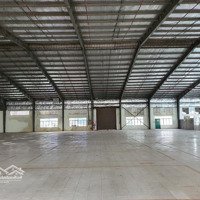 Cho Thuê 7000M2 Kho Xưởng Thành Phố Bến Tre