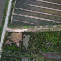 10889,6 M2 Đường Kt11 Xã Mỹ Hạnh Bắc, Đức Hòa, Long An