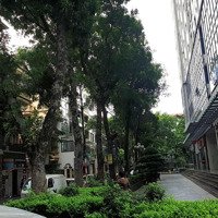 Cho Thuê Căn Hộ Chung Cư An Bình, Khu Đô Thị Định Công,Diện Tích115M2, 3 Phòng Ngủ 2 Vệ Sinh Đủ Đồ