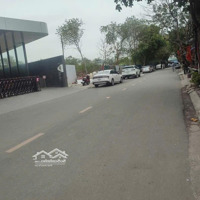Bán Nhà Mặt Đường Phố Lộc 39M-Mt6.7M-- Kinh Doah Tấp Nập- 6 Tầng Thang Máy - 3Ô Ô Tránh- Vỉa Hè Rộg