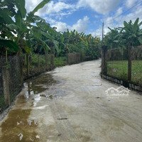 Bán Đất Tại Xã Diên Lâm, Diên Khánh, Khánh Hòa, 2,4 Tỷ, 830 M2