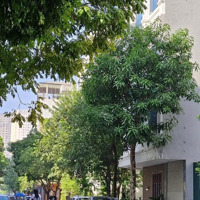 Hàng Chuẩn Giá Đầu Tư Bán Trong Ngày Nhà 5 Tầng Liền Kề Văn La Văn Phú Ha Đông 50M2 Mà Giá Hơn 12Ty