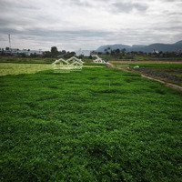Bán Lô Đất 2100M2 Tại Phú Hội, Thống Nhất Giá Chỉ 1,750 Tỷ Đường Bê Tông 5M